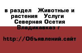  в раздел : Животные и растения » Услуги . Северная Осетия,Владикавказ г.